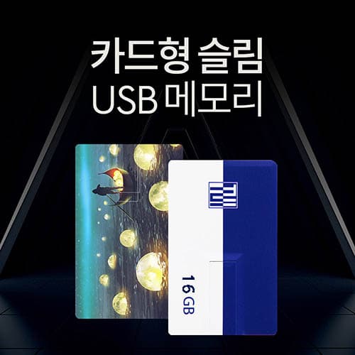 투이 카드형 USB 메모리 16G