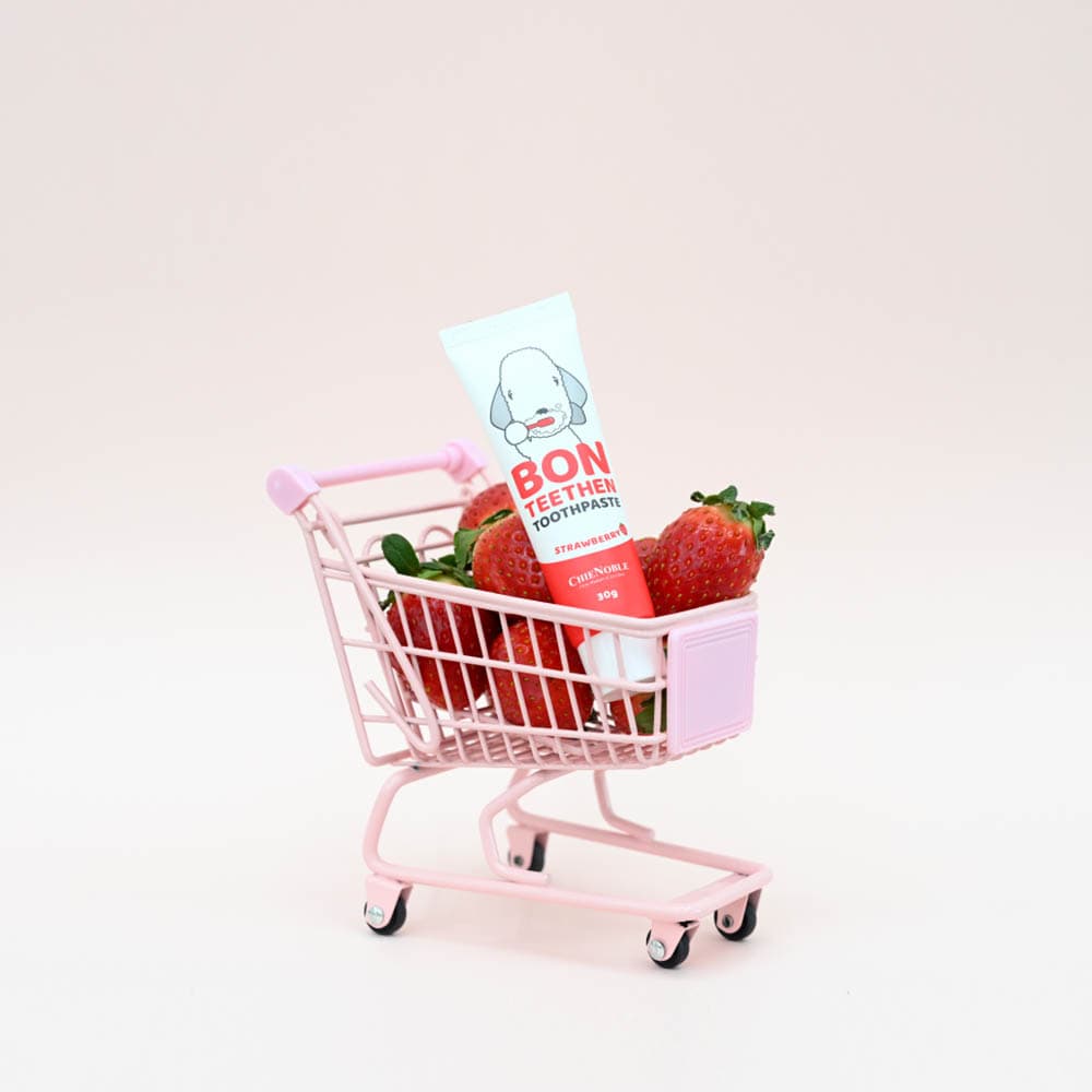 세이치 반려동물 원터치 브러쉬