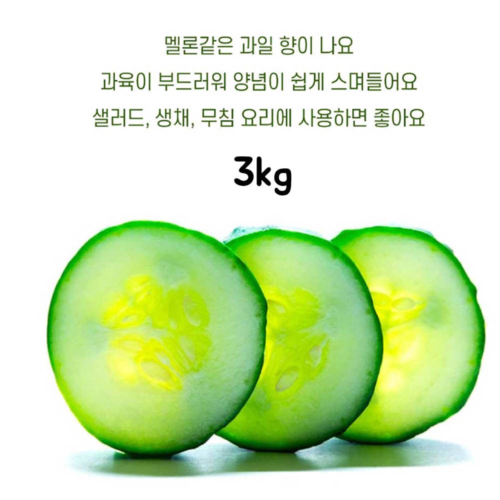 국내산 취청오이 3kg(정품)