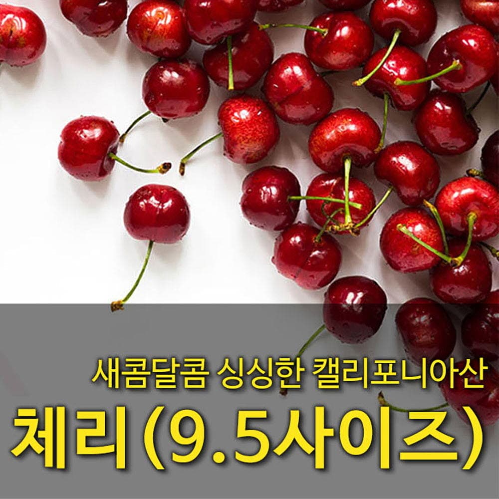 [수입과일] 싱싱한 칠레산 체리 2.5kg (9.5사이즈)