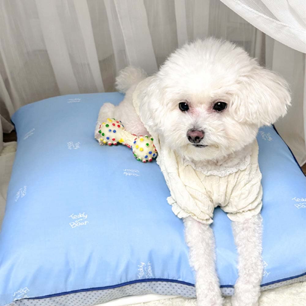 루즈벨트 테디베어 블루스피넬 사각 강아지방석 TDBR-C-10