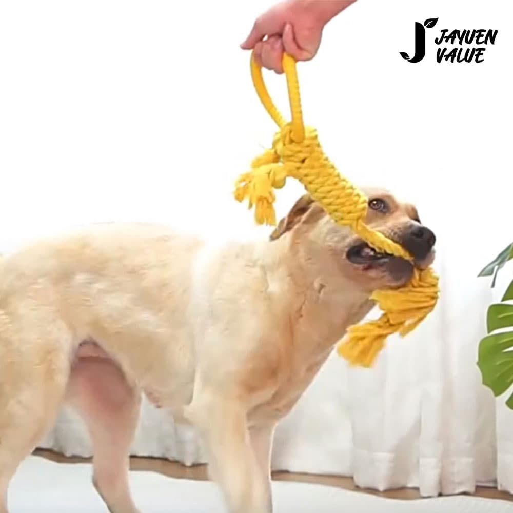 자연밸류 반려동물 중대형견 물고 당기고 놀이 실타래 JVM-PBV01