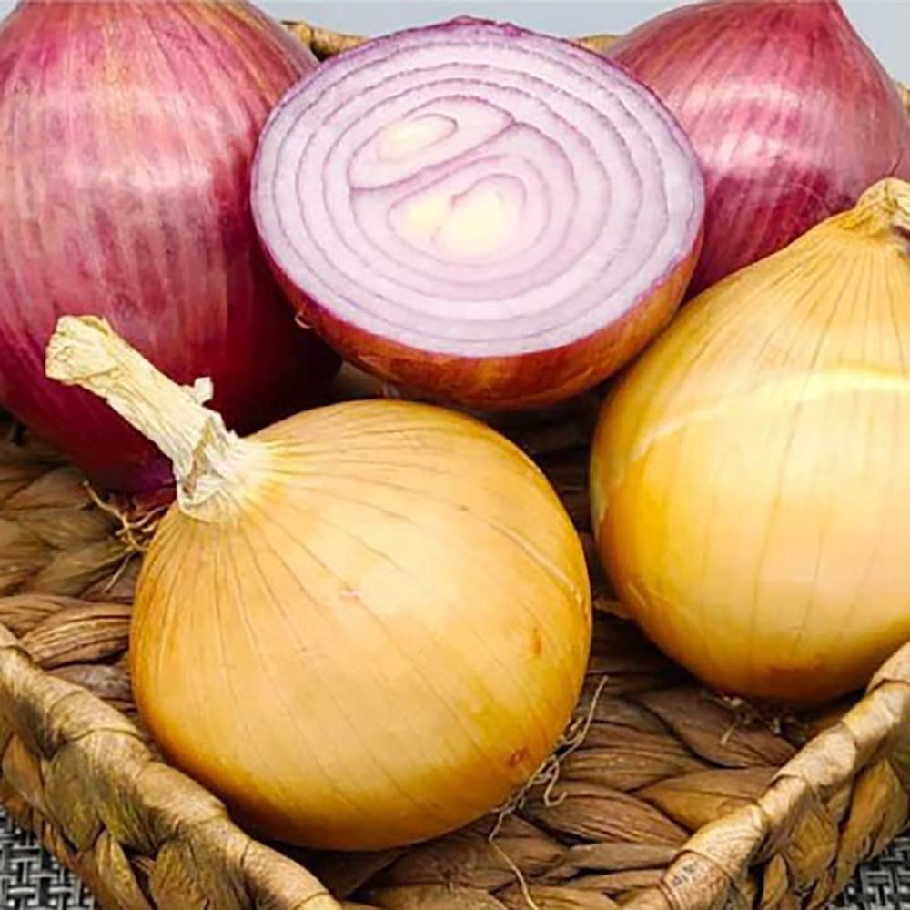 24년산 남도 흰양파 5kg(개당 100~200g)