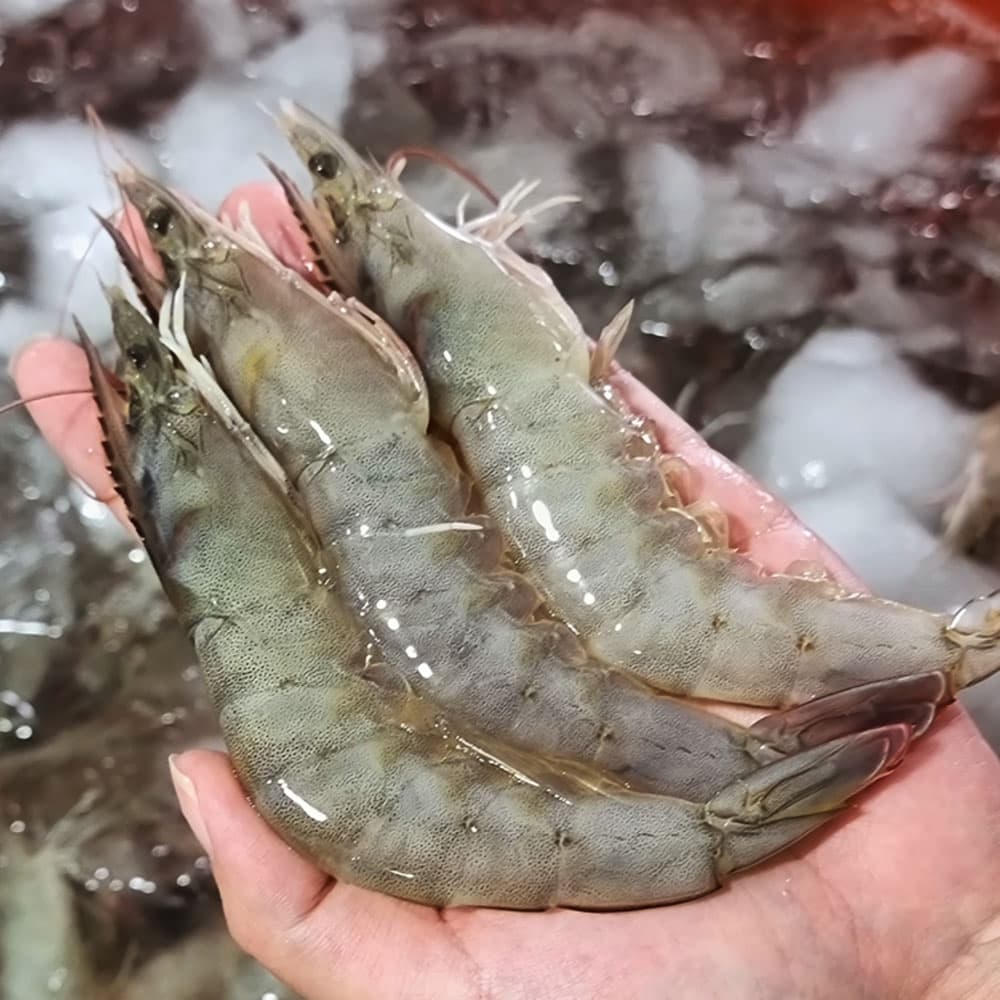 싱싱 톱밥꽃게 2kg (7-12미 내외)