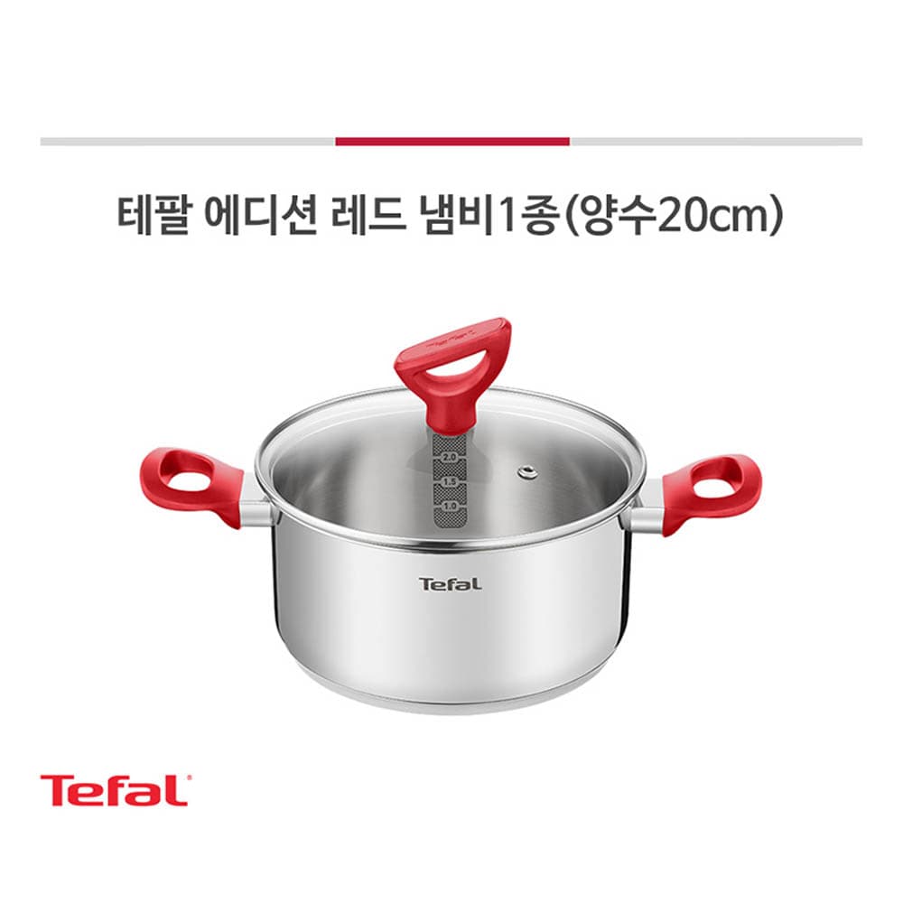 테팔 에디션 레드 인덕션 양수냄비 20cm