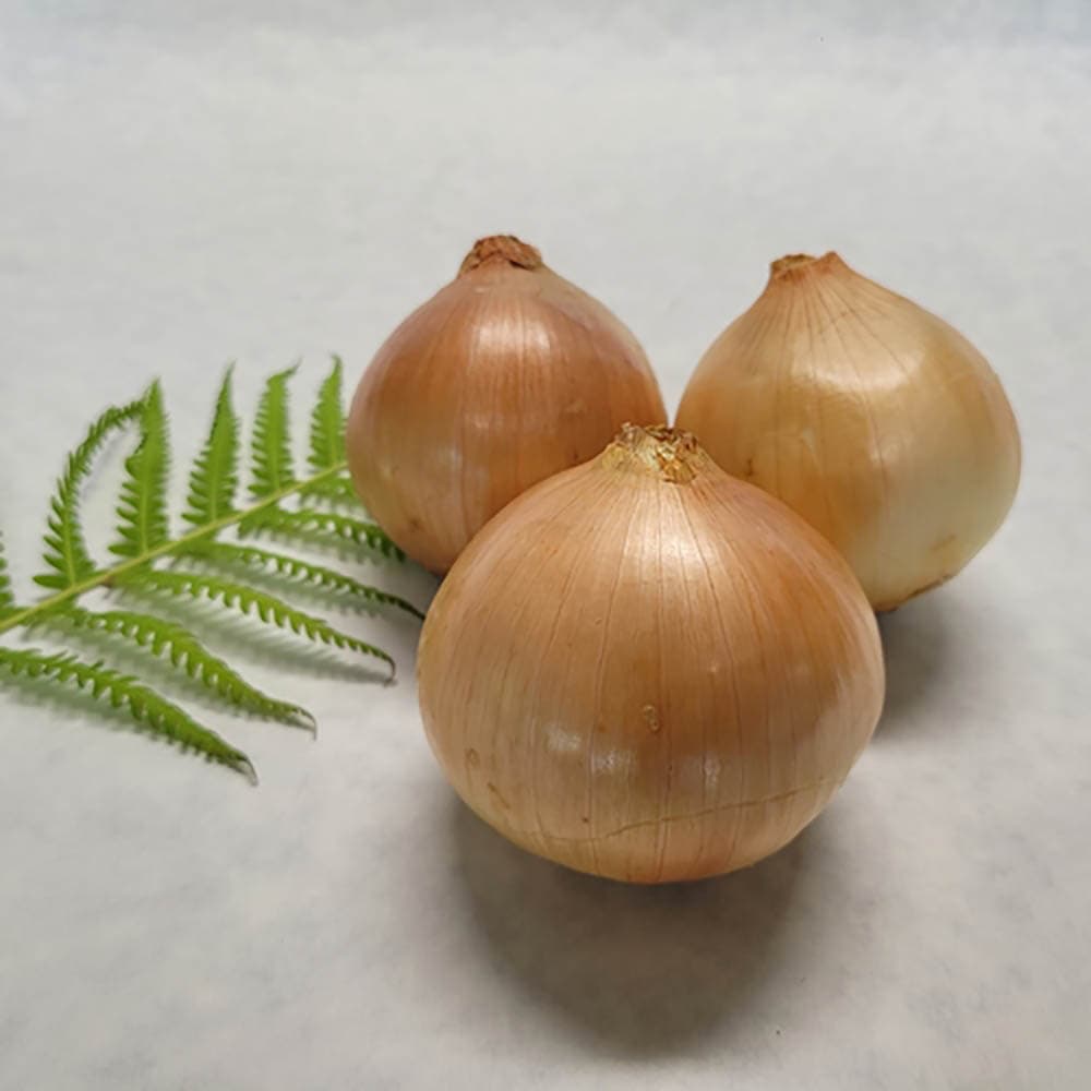 전라도 감자 왕특 3kg (180~280g 내외)