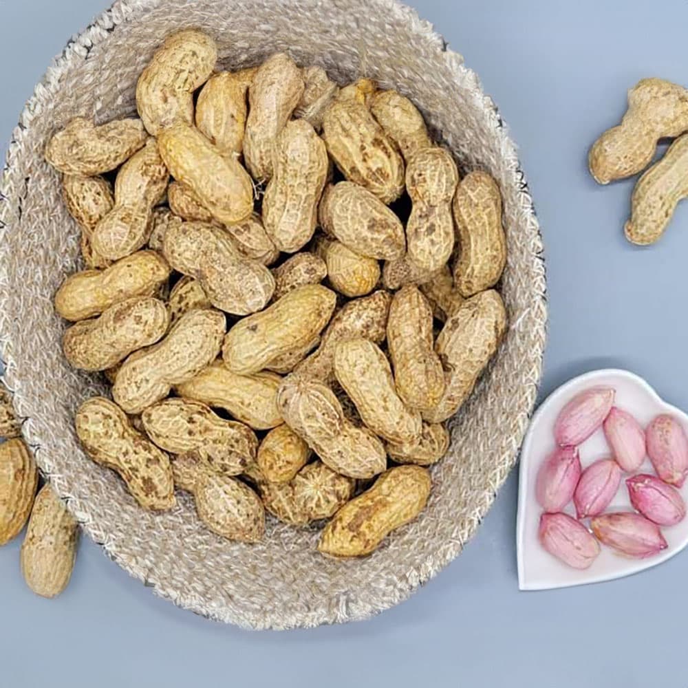 세척한 국산 햇 피땅콩(껍질 안깜) 1kg(특품)