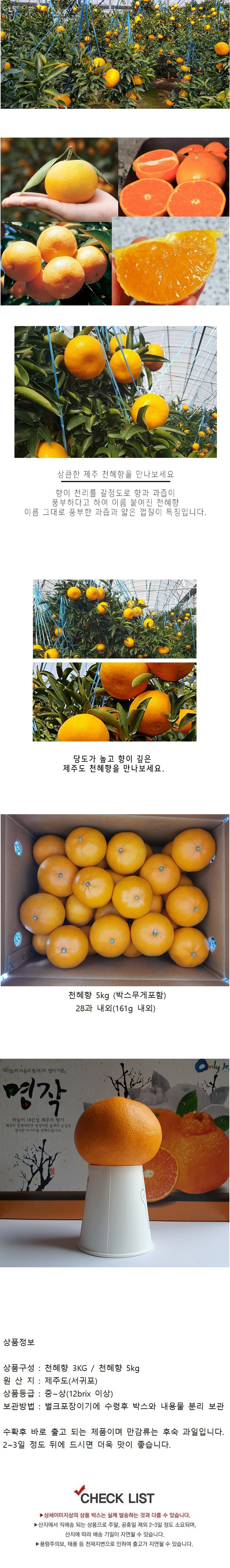 천혜향 5KG (가정용) 상세이미지
