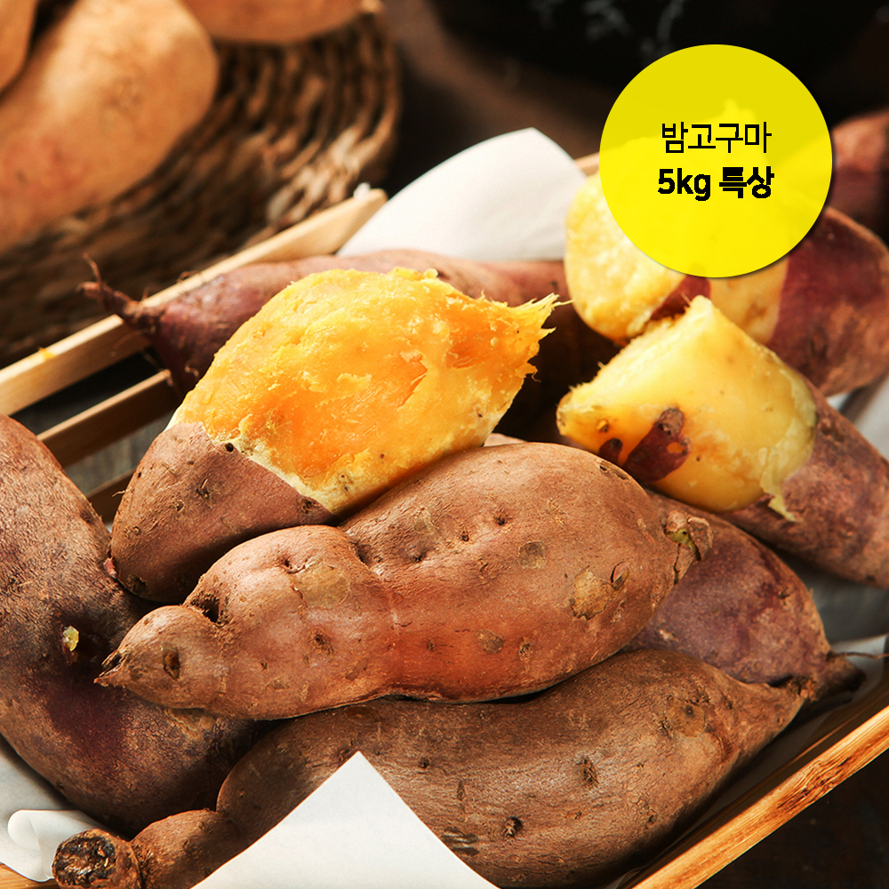 해남 햇 밤고구마 5kg / 특상 상세이미지