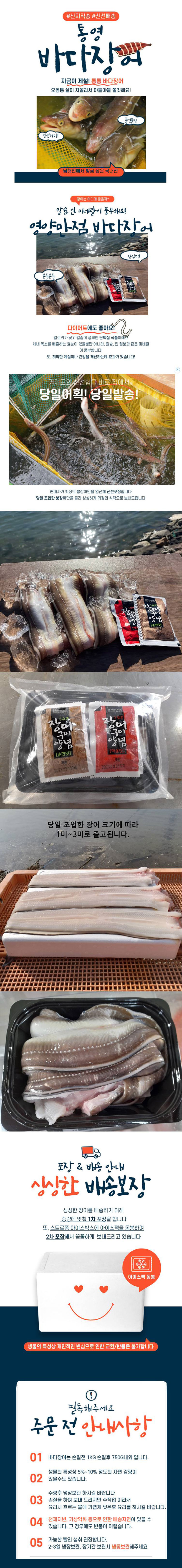통영 바다장어 특대 사이즈 1kg(2~4미)+매콤달콤양념 무료증정 상세이미지