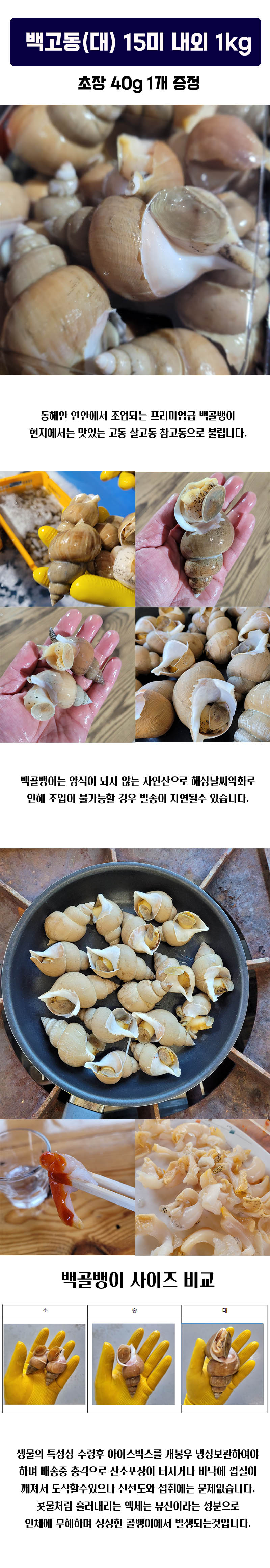 백고동(대) 15미 내외 1kg/초장 40g 1개 증정 상세이미지