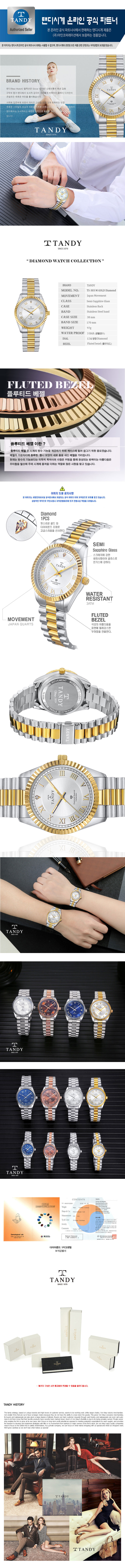 탠디시계 사파이어 다이아라인 TS-303 M GOLD(남성) 상세이미지