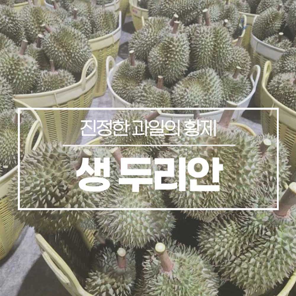 진정한 과일의 황제 생두리안 4kg 3-4수 상세이미지
