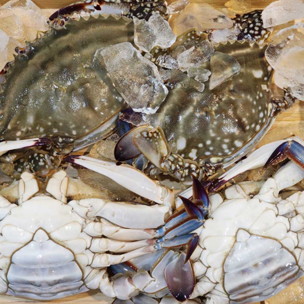 싱싱 톱밥꽃게 2kg (7-12미 내외) 상세이미지