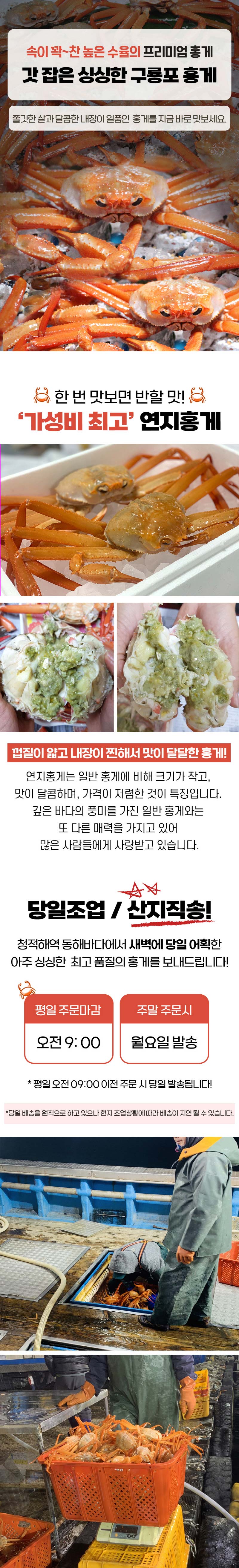 햇땅 연지홍게 자숙 찜 포항 구룡포 실속형 2kg 6-9마리 제철 홍게 상세이미지